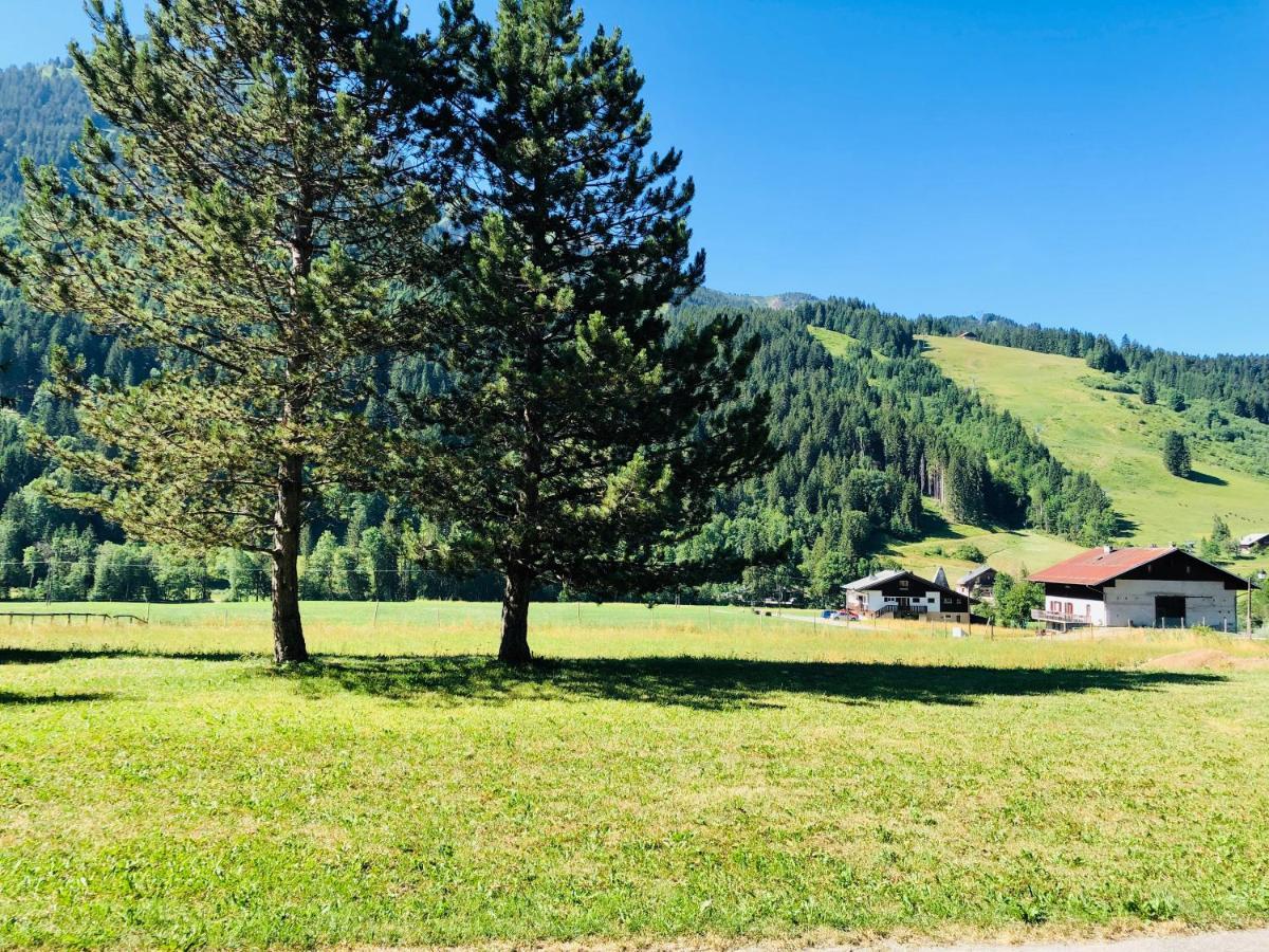 Cent Cristaux Bed & Breakfast La Chapelle-d'Abondance Exterior photo
